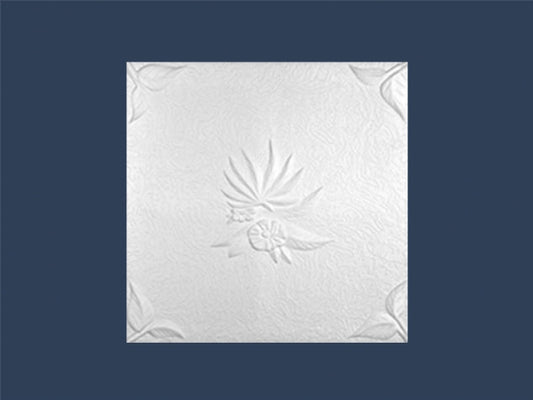 Ceiling tiles NATURA