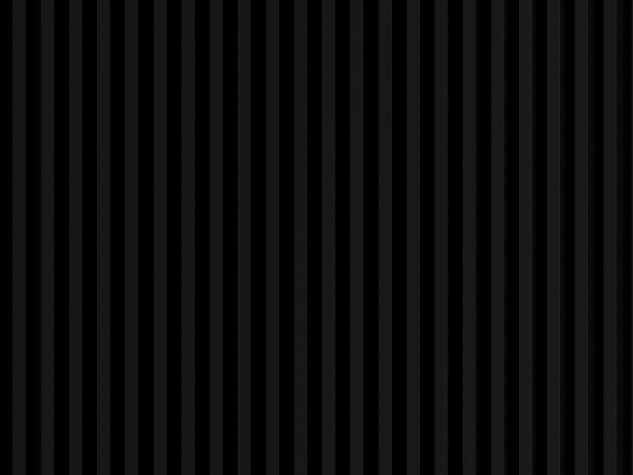 Lamella panel WL 2700×177 MAXI black – matt black 2