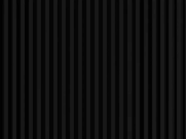 Lamella panel WL HDF 2700×177 MAXI black – black matt 4