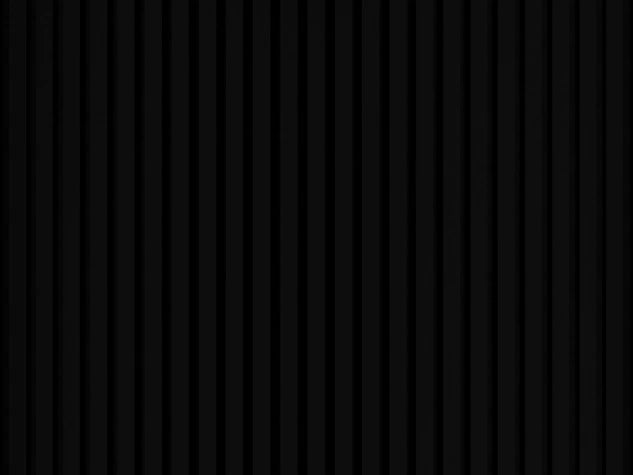 Lamella panel WL 2700×300 ST 7L black – matt black 4