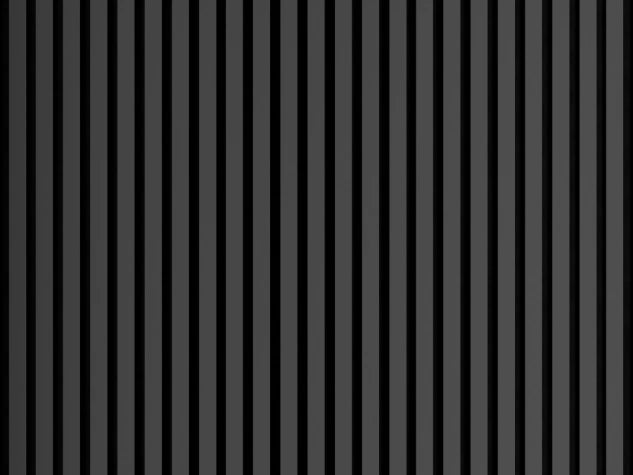 Lamella panel WL 2700×300 ST 7L black – graphite 4